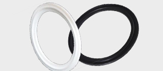 Ferrule Gasket